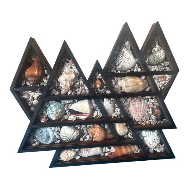 Mountain Peak Seashell Shadow Box For Sale