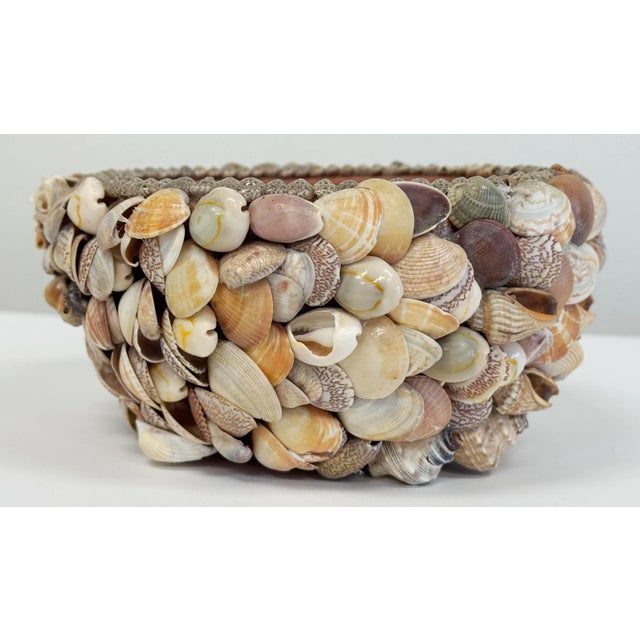 Vintage handmade shell encrusted terra cotta planter pot. Opening measures 5.5"dia. Age wear with handmade qualities....