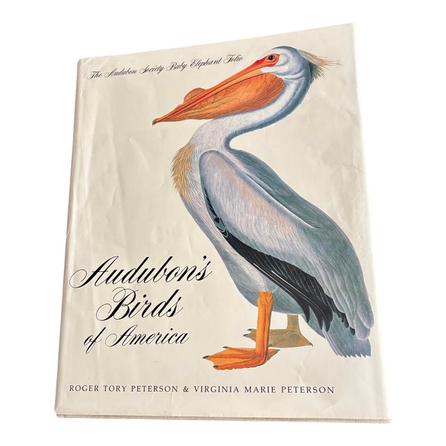 Monumental Audubon’s Birds of America “Baby Elephant Folio” Oversized Art Book in Slipcase For Sale