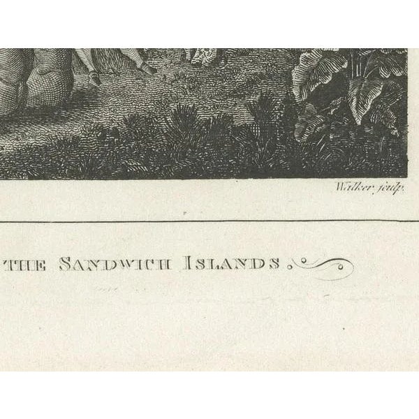 The Ceremonial Offering to Captain Cook in Hawaii, 1778, Paper For Sale - Image 3 of 6