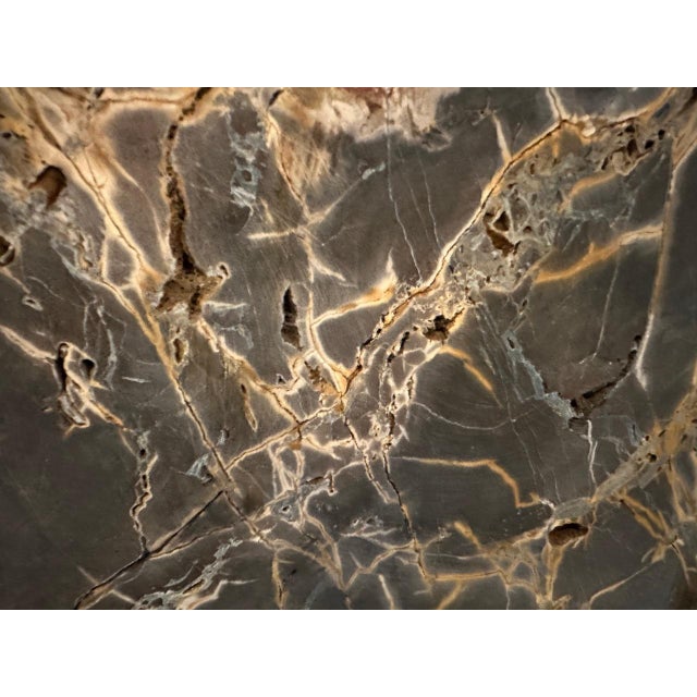 Andrianna Shamaris High Quality Petrified Wood Sculpture or Coffee Table For Sale - Image 12 of 18