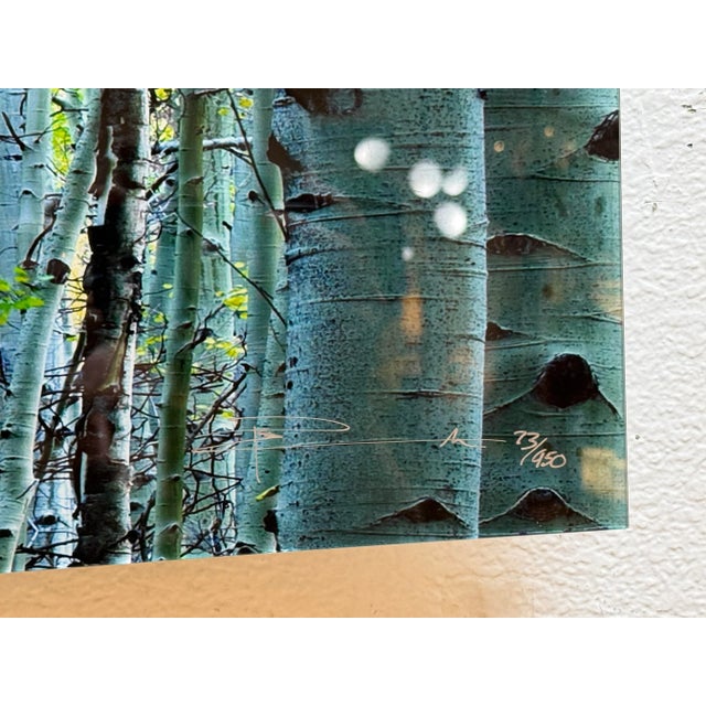 Peter Lik "Endless Birches" Photographic Acrylic Mount For Sale - Image 4 of 17