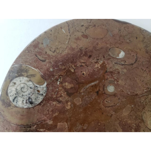 Oval Fossil Plate Dish For Sale - Image 4 of 7