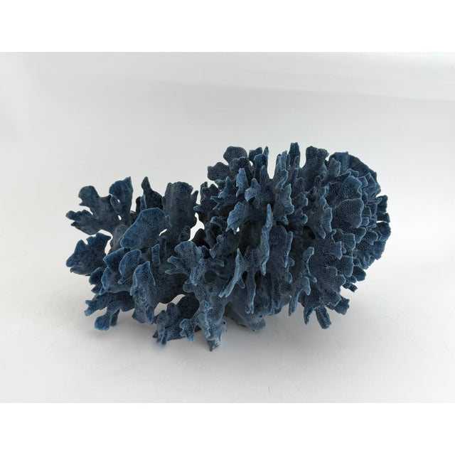 Chinoiserie Natural Blue Coral Specimen Coastal Decor For Sale - Image 3 of 9