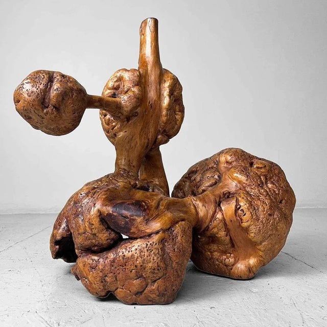 Japanese Meiji Wabi-Sabi Burl Wood Piece For Sale - Image 11 of 13