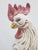 Colorful Figure of a Rooster, Italy, 1980s For Sale - Image 8 of 9