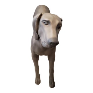 Authentic Goldsmith Inc. Nyc "Aldo" Fiberglass Weimaraner Dog Mannequin Sculpture For Sale