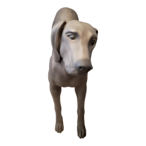 Goldsmith Inc. Discontinued Fiberglass Weimaraner Dog Mannequin