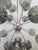 Not Yet Made - Made To Order 21st Century Nova Polished Nickel Smoky Murano Sputnik Chandelier by Fabio LTD For Sale - Image 5 of 7