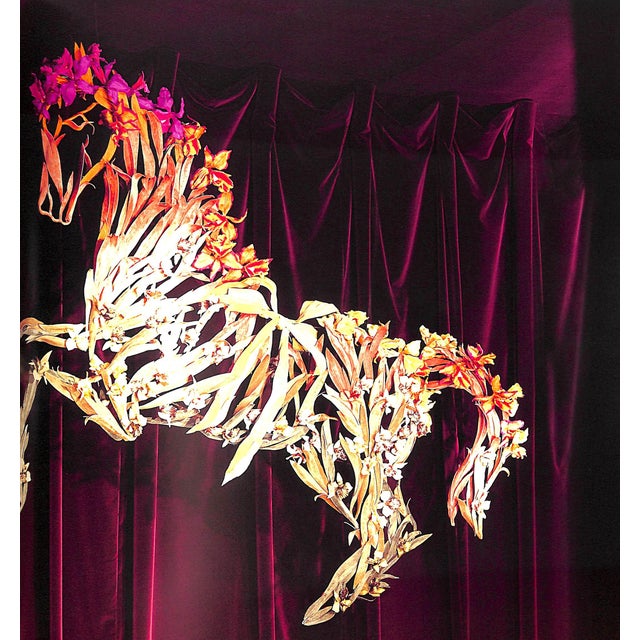 "Les Vitrines Hermes Contes Nomades De Leila Menchari" 1999 Gazier, Michele [Texte De] For Sale - Image 4 of 12