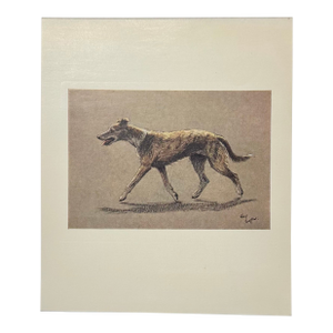 Lurcher Sighthound Dog by Cecil Aldin, 1928