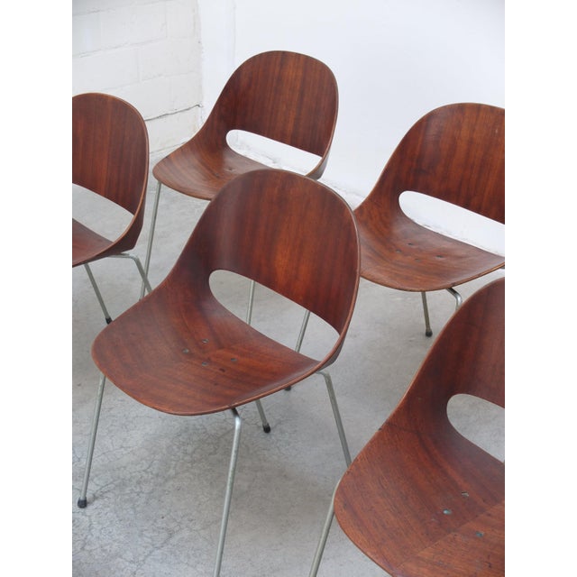 Sl58 Chairs by Léon Stynen, 1958, Set of 8 For Sale - Image 13 of 18