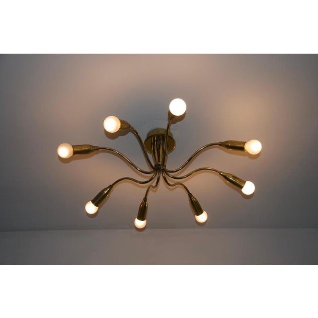 Mid-Century Brass Sputnik Chandelier, Germany, 1950s For Sale - Image 4 of 8