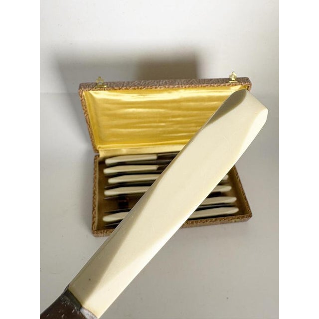 1970s Bakelite Knives, France, 1970s, Set of 12 For Sale - Image 5 of 14