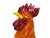 Vintage Extra Large Life-Size Italian Ceramic Rooster For Sale - Image 10 of 12