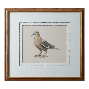 M. Lis - Pigeon Watercolor Painting