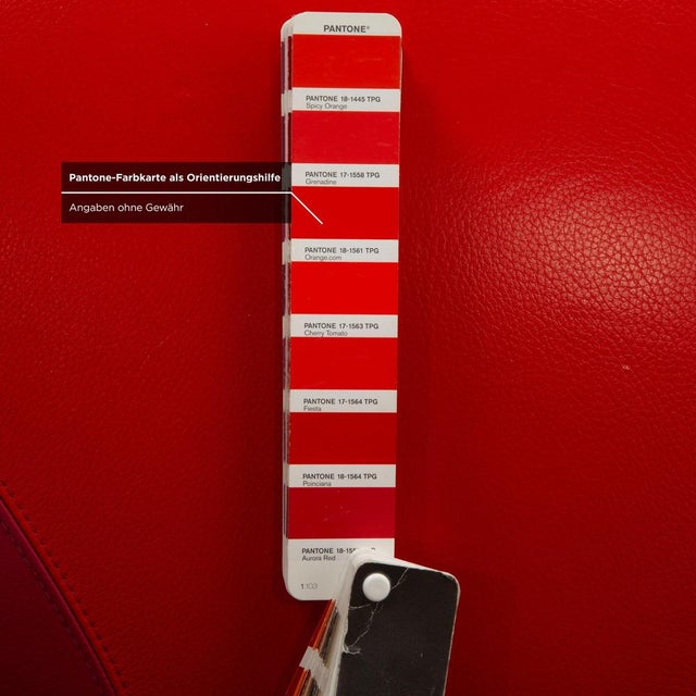 Pallone Leather Chair with Ottoman from Leolux, Set of 2 For Sale - Image 10 of 18