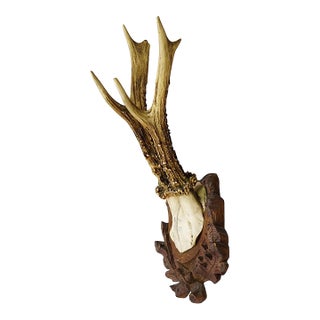 Antique Black Forest Red Deer Trophy on Carved Plaque, Germany 1929 For Sale