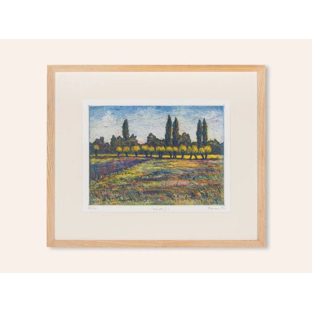 Gerhard Messemer, Weiden III, Color Etching on Paper, Framed For Sale - Image 12 of 12