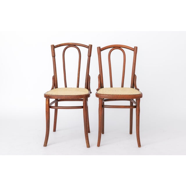 Brown Antique Austrian Bentwood Rattan Bistro Chair in the Style of Thonet No. 56, 1930s For Sale - Image 8 of 12