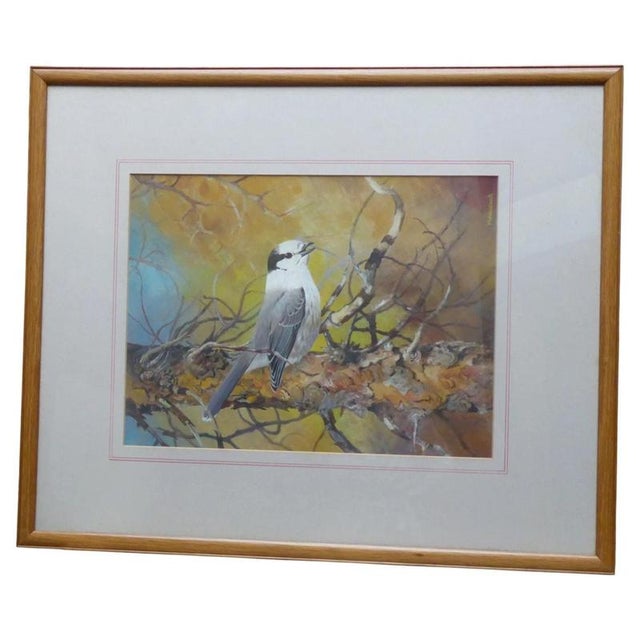 Michael Woodcock, Grey Jay, Wildlife Study, 1980s, Watercolour For Sale - Image 14 of 14