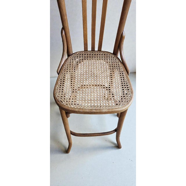 High Bar Chair from Baumann, 1950s For Sale - Image 6 of 12
