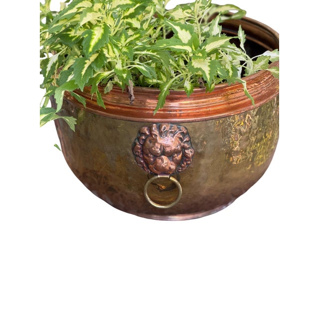 Large 14" Antique French Repoussé Copper Jardinière, 19th Century Alliance Coat of Arms Cachepot, Lion Head Handles, French Planter For Sale In Charlotte - Image 6 of 15