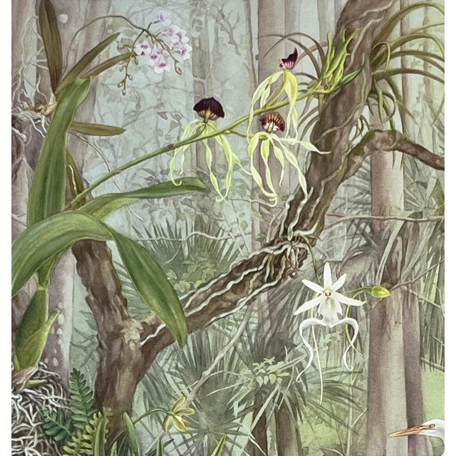 American “Fakahatchee Strand Preserve” Hand Retouched Giclee Print by Angela Mirro - For Sale - Image 3 of 4