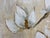 Janet Tava "Song of Spring Ii" Botanical Art Print For Sale In San Francisco - Image 6 of 12