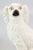 Staffordshire Antique 19th Century English Staffordshire Spaniel Dogs - A Pair For Sale - Image 4 of 11