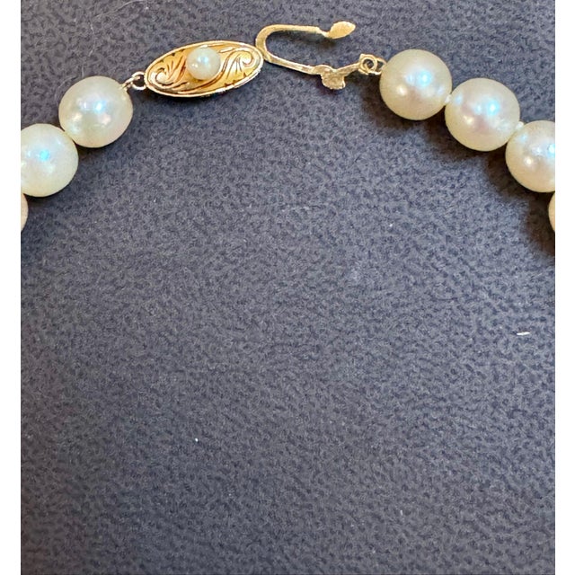 Beige Vintage Cultured Akoya Pearl Necklace Length 14" , 18 Karat Yellow Gold Clasp For Sale - Image 8 of 18