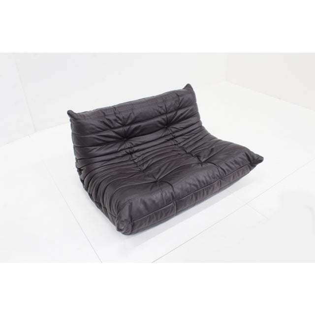 Brown Togo Sofa in Brown Leather by Michel Ducaroy for Ligne Roset, 2010 For Sale - Image 8 of 11