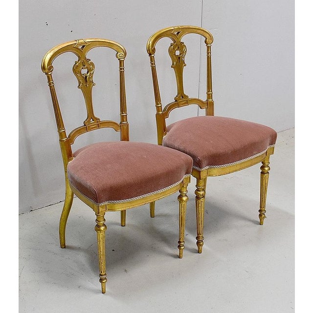 Pair of gilded wooden chairs, of Louis XVI style. Their curved and fluted amounts are richly molded in upper and central...