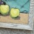 Vintage Boho Original Apples Still Life Oil on Board For Sale - Image 4 of 9