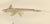 Paper Scandinavian Sturgeon and Chimaera, 1895, Paper For Sale - Image 7 of 10