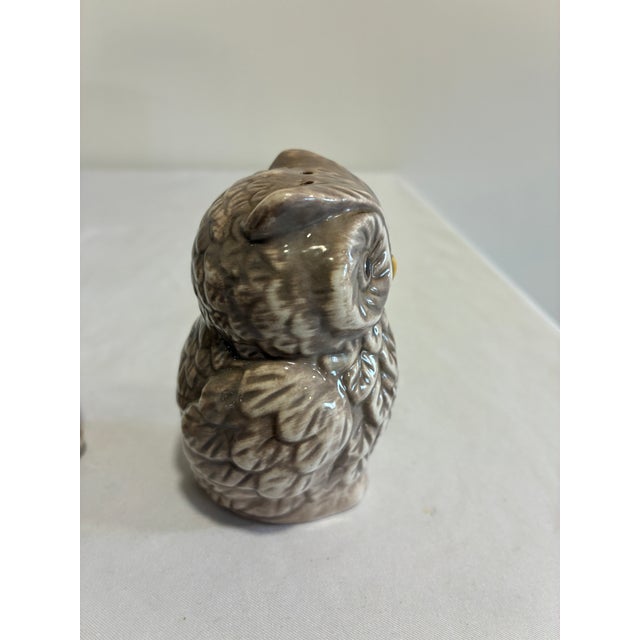 Ceramic Vintage Ceramic Owl Salt and Pepper Shakers — A Pair For Sale - Image 7 of 10
