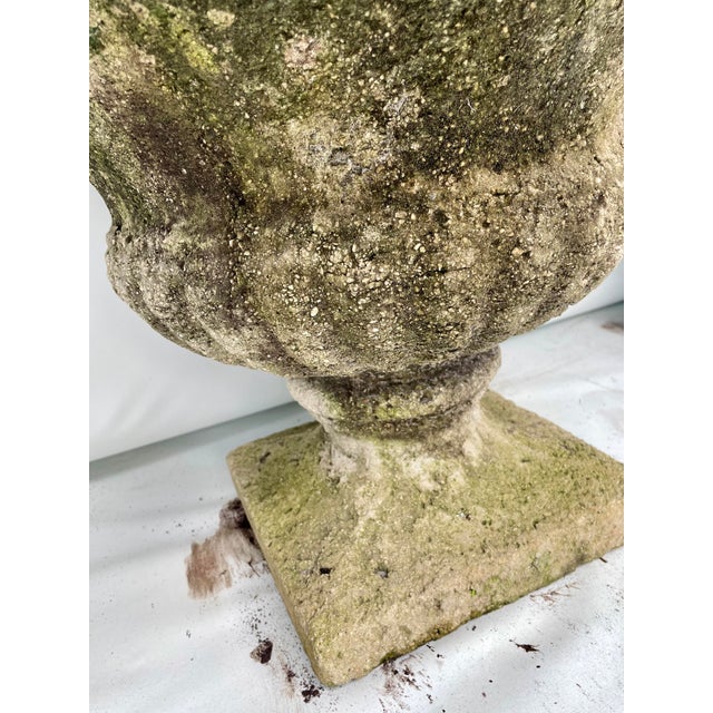 1950s 1950s Vintage Concrete Garden Pots - Set of 2 For Sale - Image 5 of 10