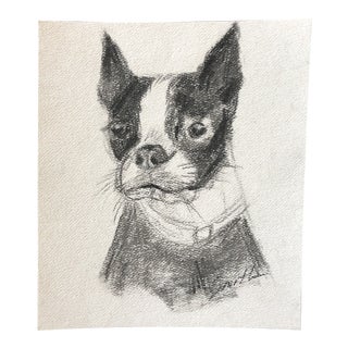 “Boston Terrier” Original Contemporary Charcoal Dog Portrait Drawing by Nancy Smith For Sale