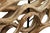 Palecek Sculptural Driftwood Table Lamps by Palecek, a Pair For Sale - Image 4 of 7