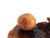 Mid 20th Century Mid-Century Organic Burl Wood Pedestal Stand & Fine Etched Pyrography Gourds - Set of 3 For Sale - Image 5 of 18