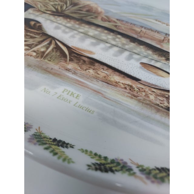 English Late 20th Century Portmeirion Pottery Oval Platter Compleat Angler Series "Pike No. 7 Esox Lucius" Stoke on Trent England For Sale - Image 3 of 6