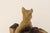 Mid 20th Century Carved and Painted Chalkware German Shepherd Ashtray For Sale - Image 10 of 13