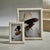Contemporary Palomar Etched White Bone Photo Frame, 8" x 10" For Sale - Image 3 of 4