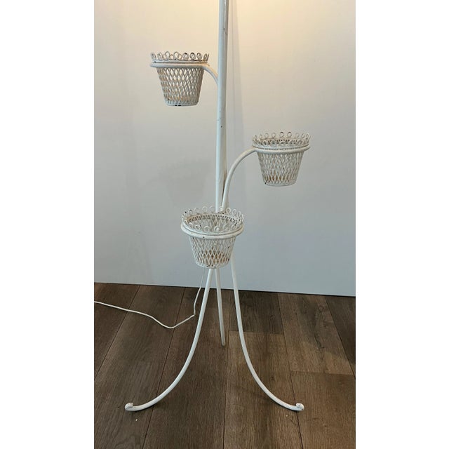 1950 Cap D'ail Collection Floor Lamp Plant Holder by Mathieu Matégot For Sale - Image 6 of 12
