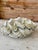 Alabaster Vintage Coastal Clam Shell Cast Resin Decorative Bowl For Sale - Image 8 of 10