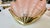 Glass Pair Art Deco Shell Clam Shaped Pink Glass Brass Wall Sconce For Sale - Image 7 of 18