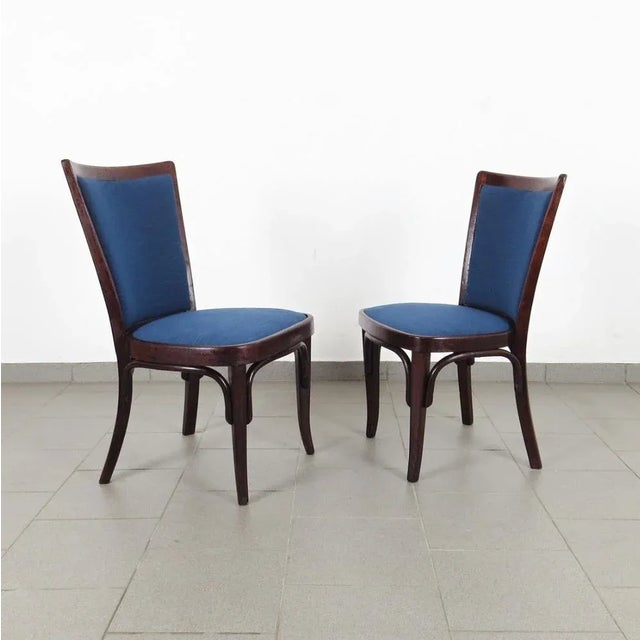 1920s Set of Dining Chairs from Thonet, 1920s For Sale - Image 5 of 5