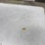 Charcoal Loll Designs Satellite Square Outdoor Side Table For Sale - Image 8 of 12