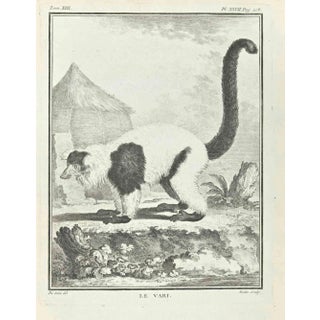 Jean Moitte, Le Vari, Etching, 1771 For Sale