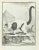 Jean Moitte, Le Vari, Etching, 1771 For Sale